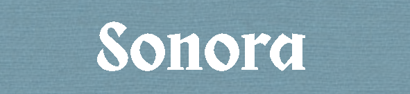 Captura de pantalla 2025-05-12 224248